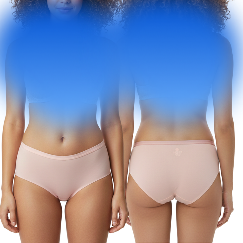 Body Care Seamless Stretchable Tactel Hipster Panties Pack Of 3 Assorted Colors