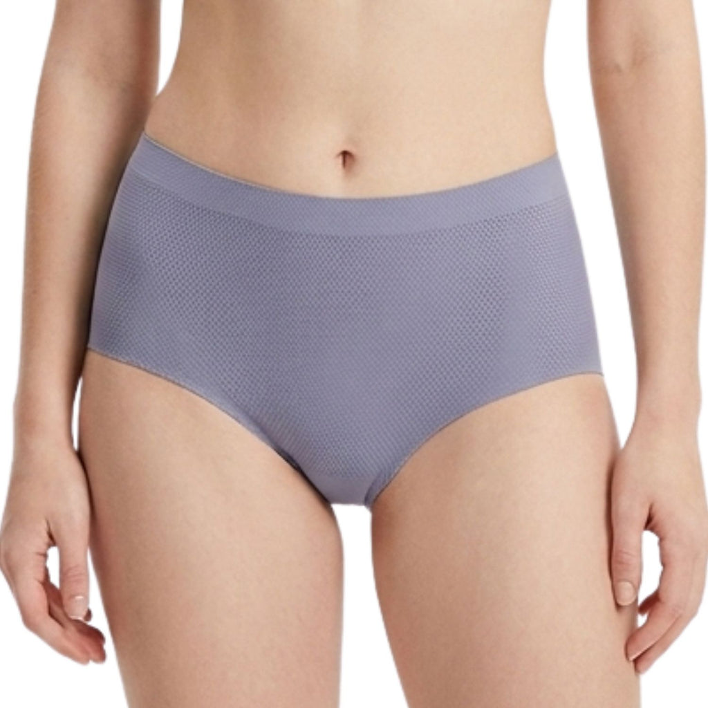 Spenca Micro Fiber Tactel Seamless, Stitch less Hipster Panties Pack Of 2 Assorted Colors