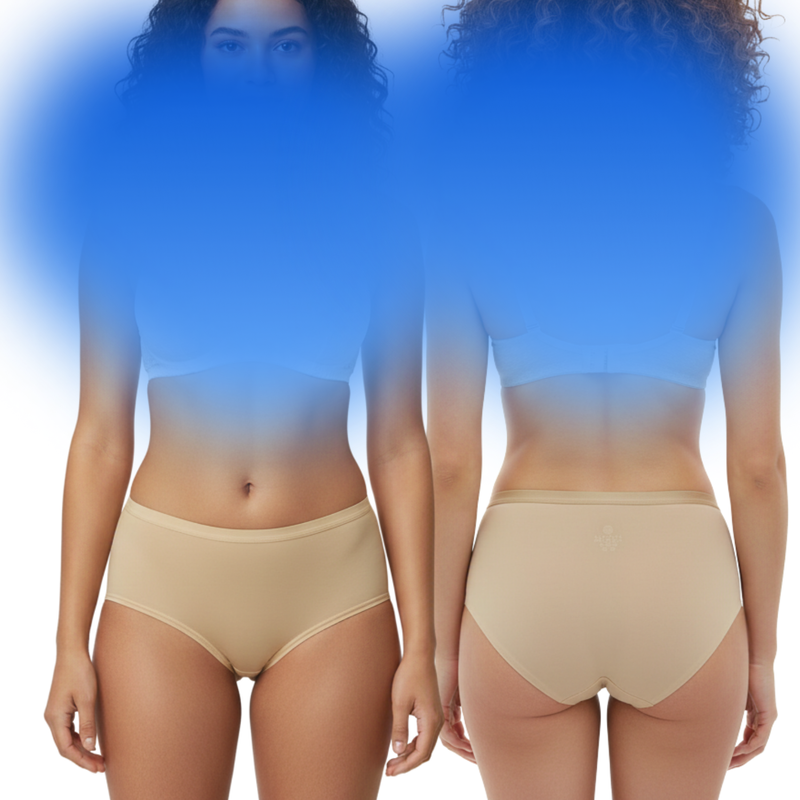 Body Care Seamless Stretchable Tactel Hipster Panties Pack Of 3 Assorted Colors