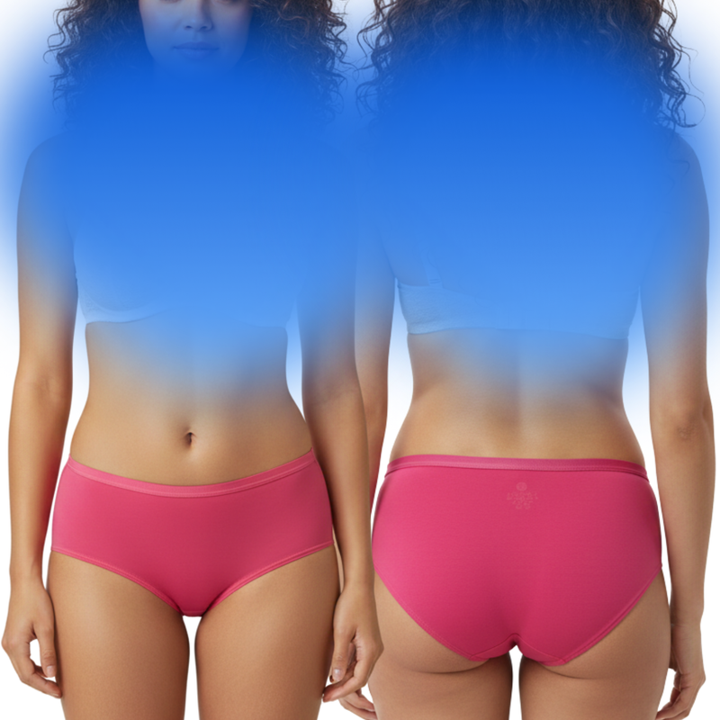 Body Care Seamless Stretchable Tactel Hipster Panties Pack Of 3 Assorted Colors