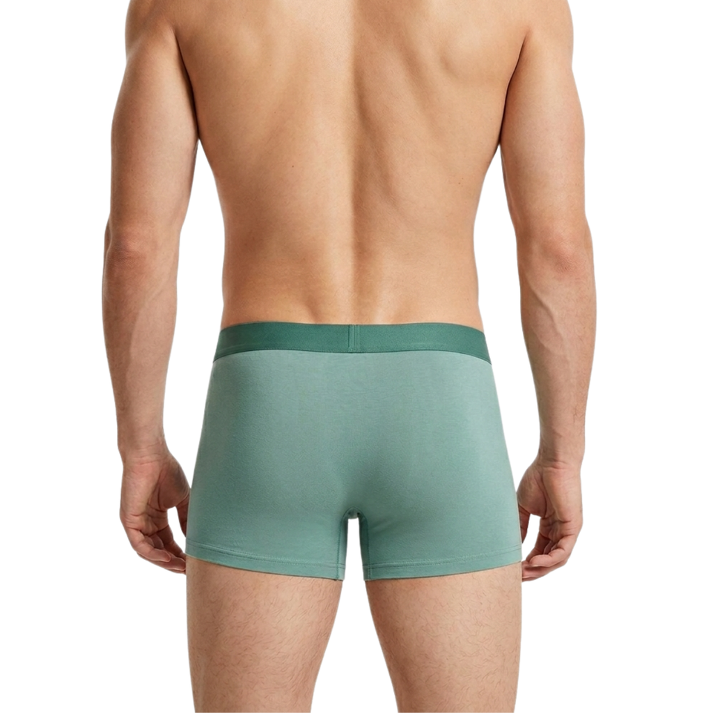 Zuke Micro Modal Seamless & Stretchable Pack OF 2 Assorted Colors